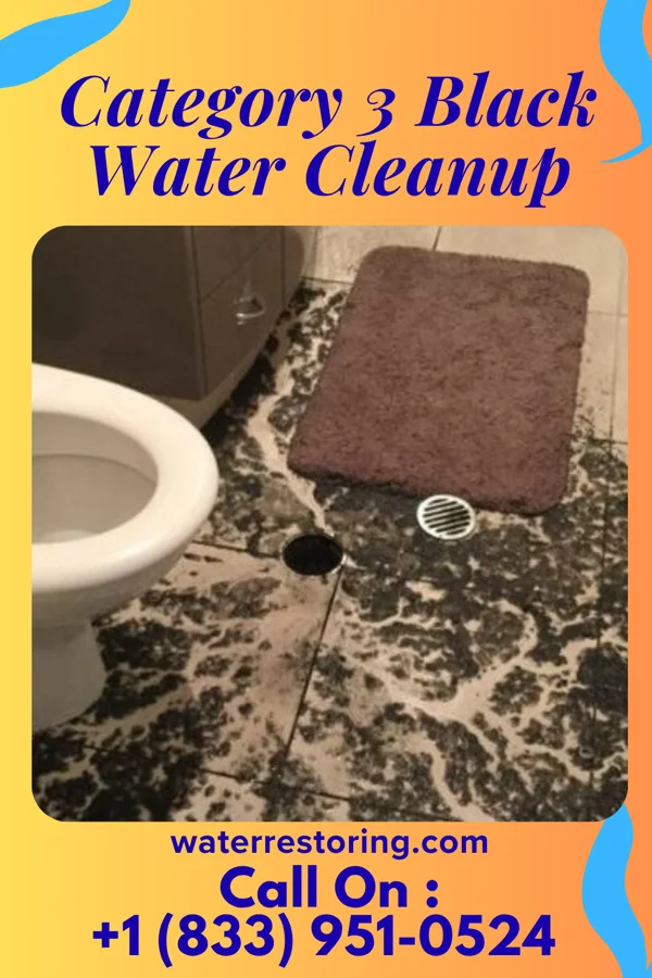 Category 3 Black Water Cleanup in Bailey Lakes, OH