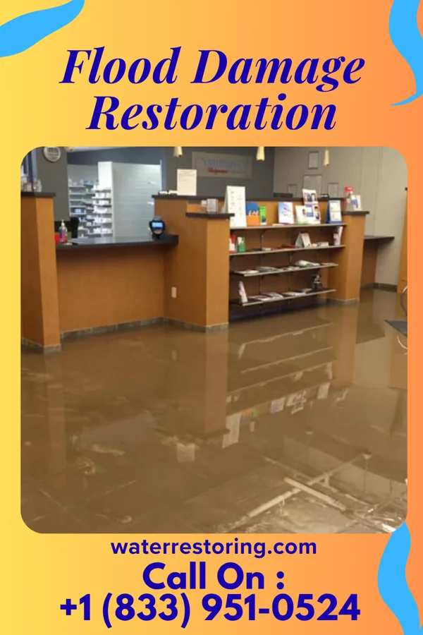 Flood Damage Restoration in Bailey Lakes, OH