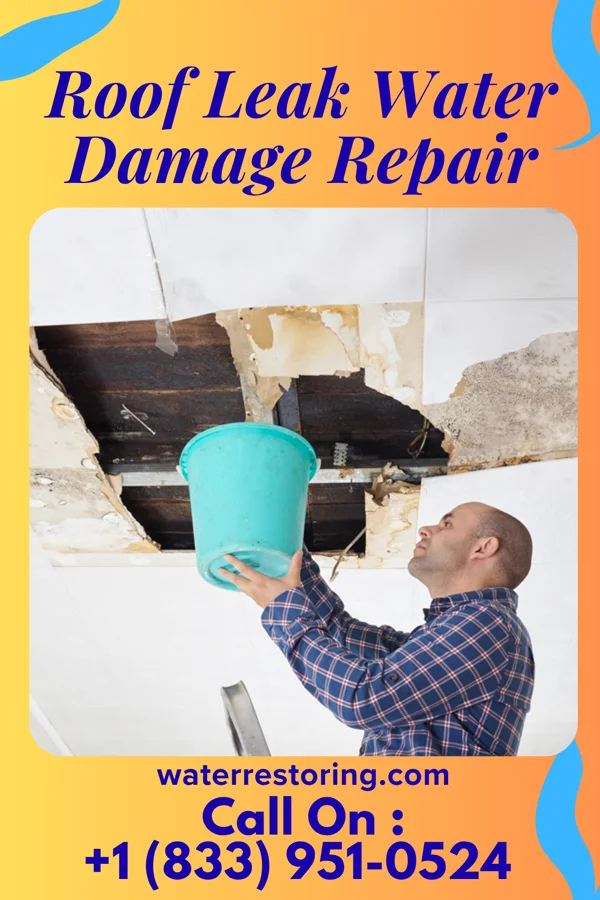 Roof Leak Water Damage Repair in Bailey Lakes, OH