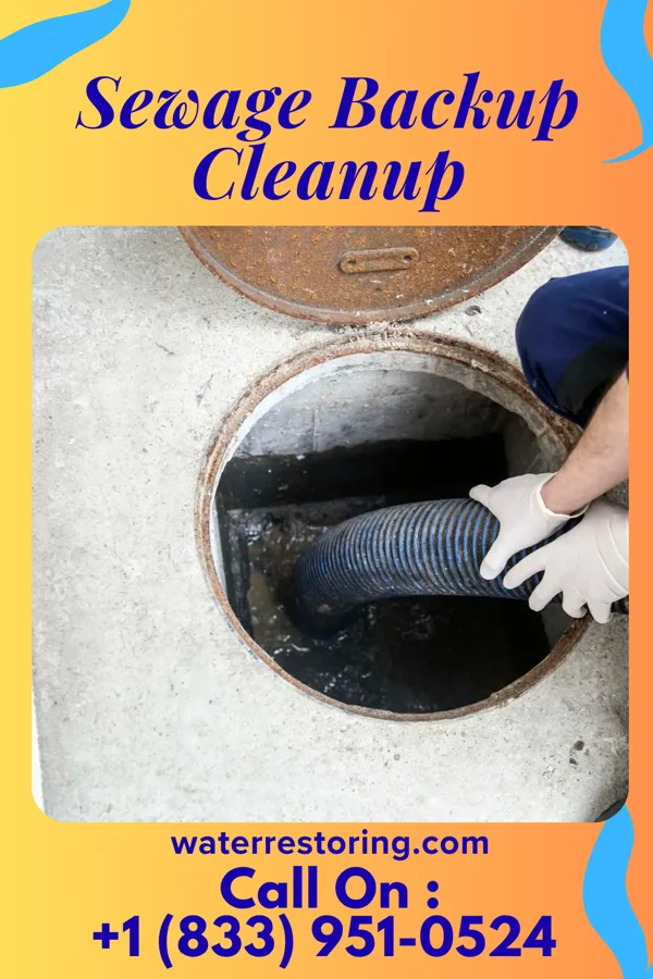 Sewage Backup Cleanup in Bailey Lakes, OH
