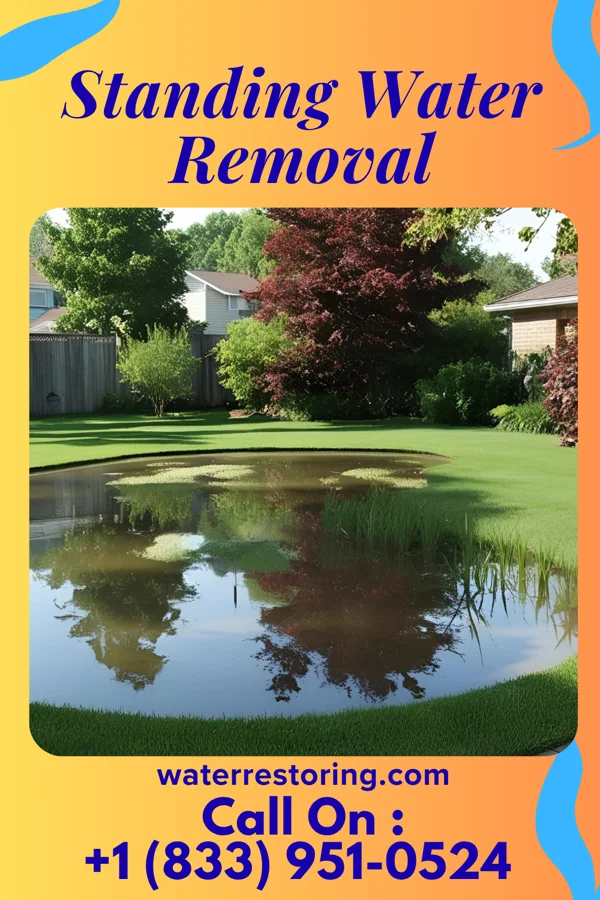 Standing Water Removal in Bailey Lakes, OH